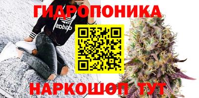 трава Нальчик