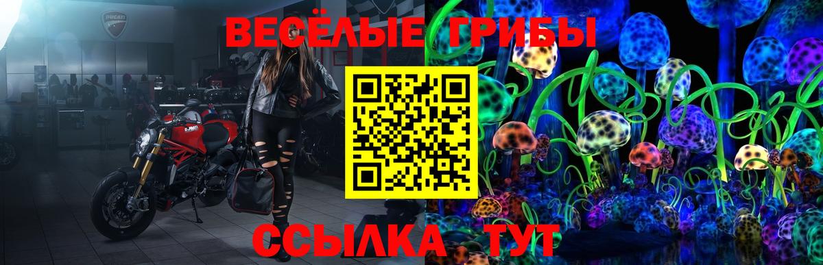 Галлюциногенные грибы Psilocybe  Псилоцибиновые грибы мухоморы  Вход с VPN  Ульяновск 